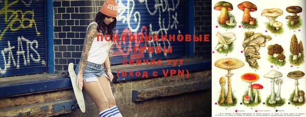 шишки Куйбышев