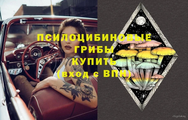 шишки Куйбышев