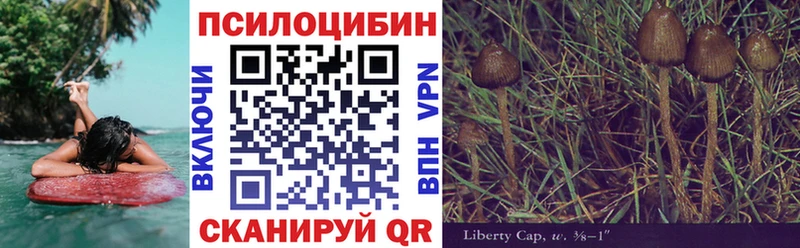 Купить  Агрыз  Галлюциногенные грибы Magic Shrooms 